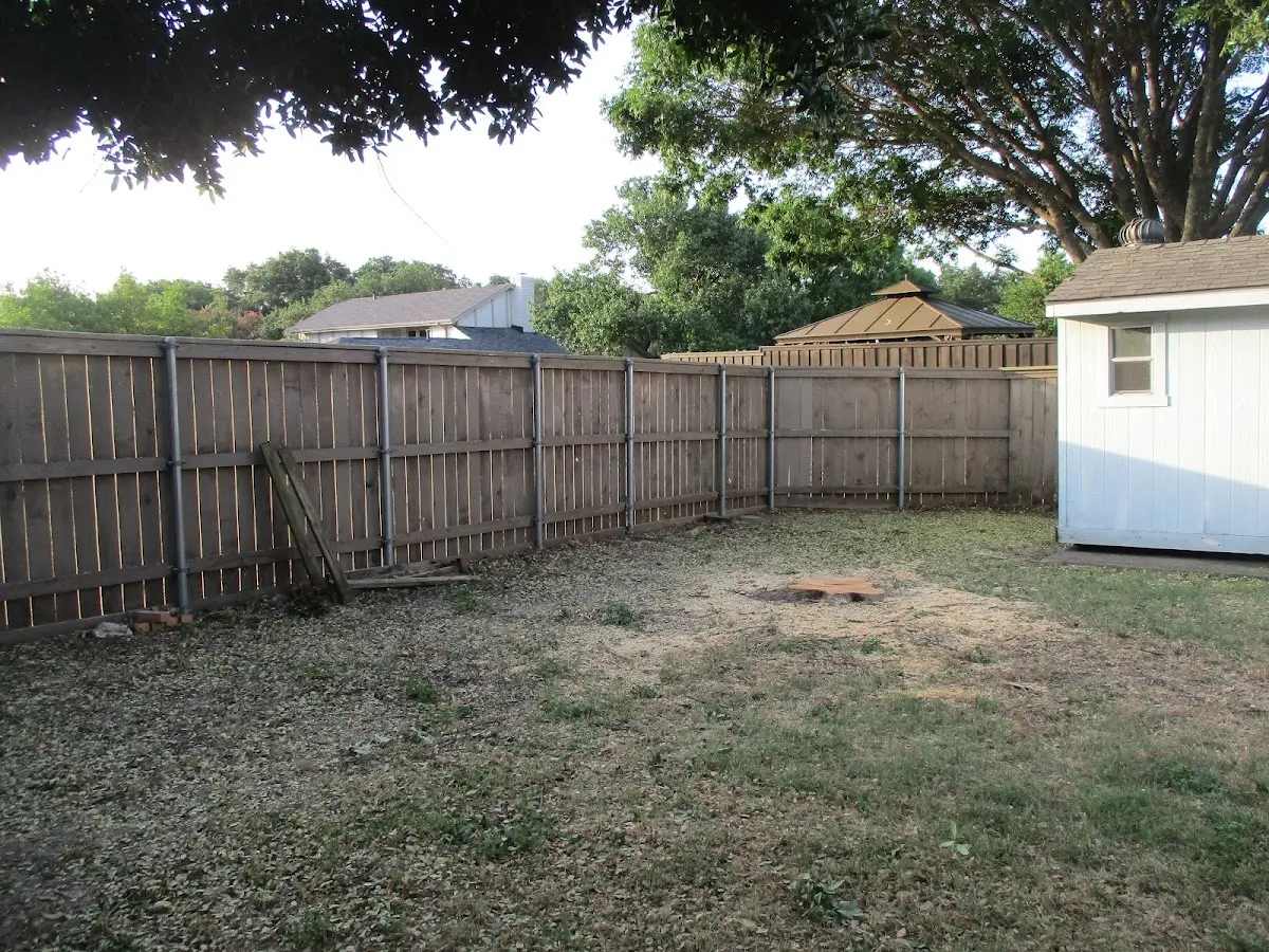 Cleared yard after professional tree removal in Pepperell